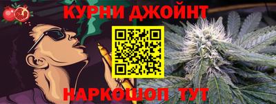 СК Дубна