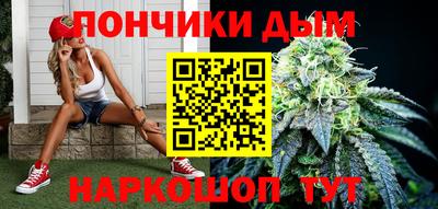 СК Дубна