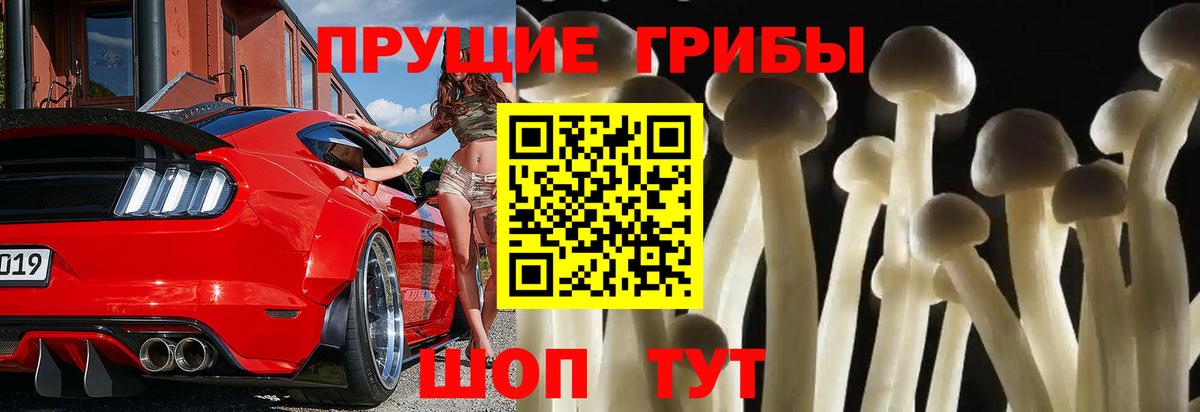 Кувандык  Галлюциногенные грибы GOLDEN TEACHER  Вход с VPN 